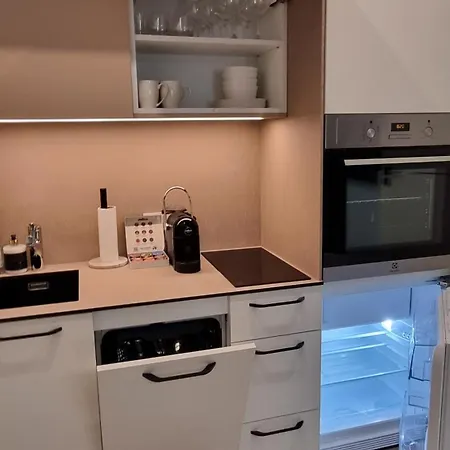 Amber Dunes Apartamentai Daukanto G Butas