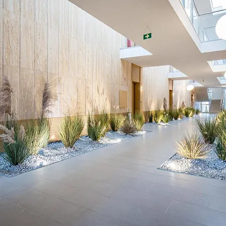 Amber Dunes Apartamentai Daukanto G Apartment *