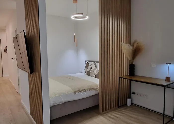 Amber Dunes Apartamentai Daukanto G Apartment Palanga