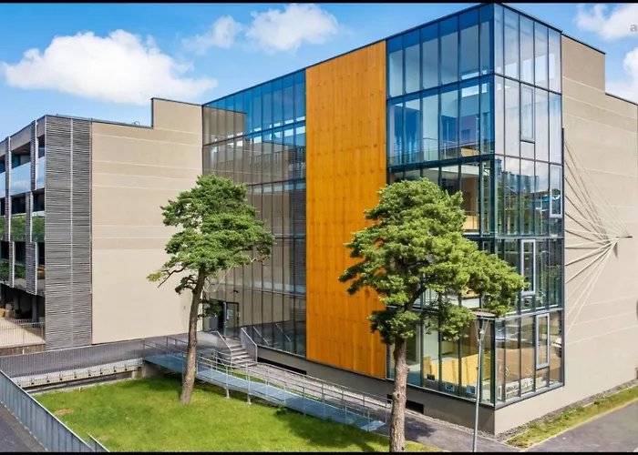 Amber Dunes Apartamentai Daukanto G *