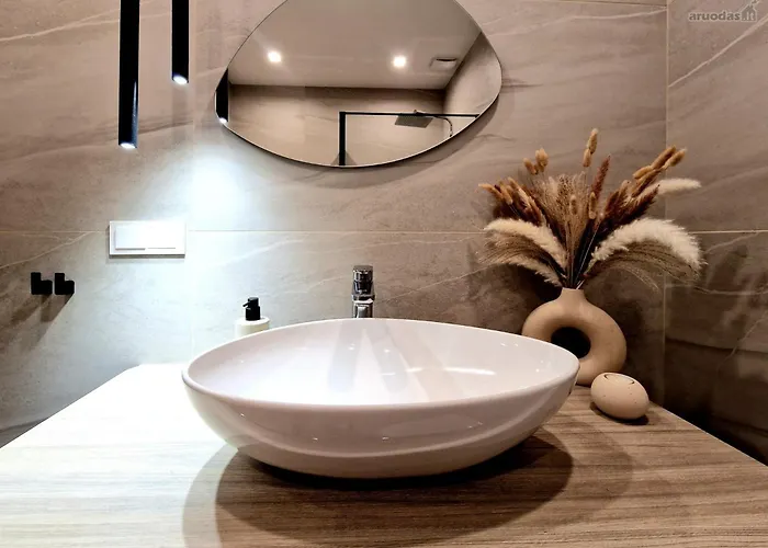 Amber Dunes Apartamentai Daukanto G Apartment Palanga